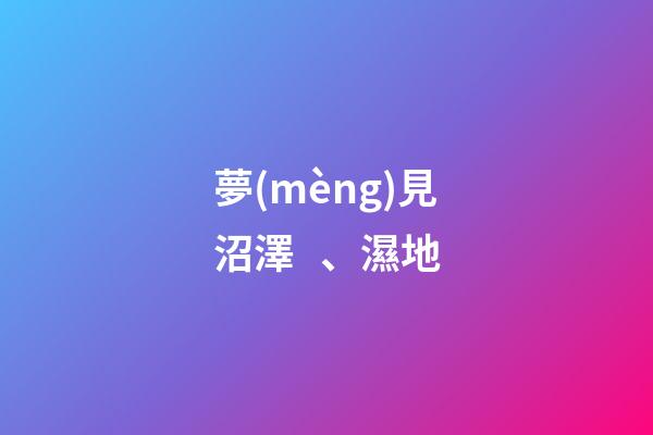 夢(mèng)見沼澤、濕地